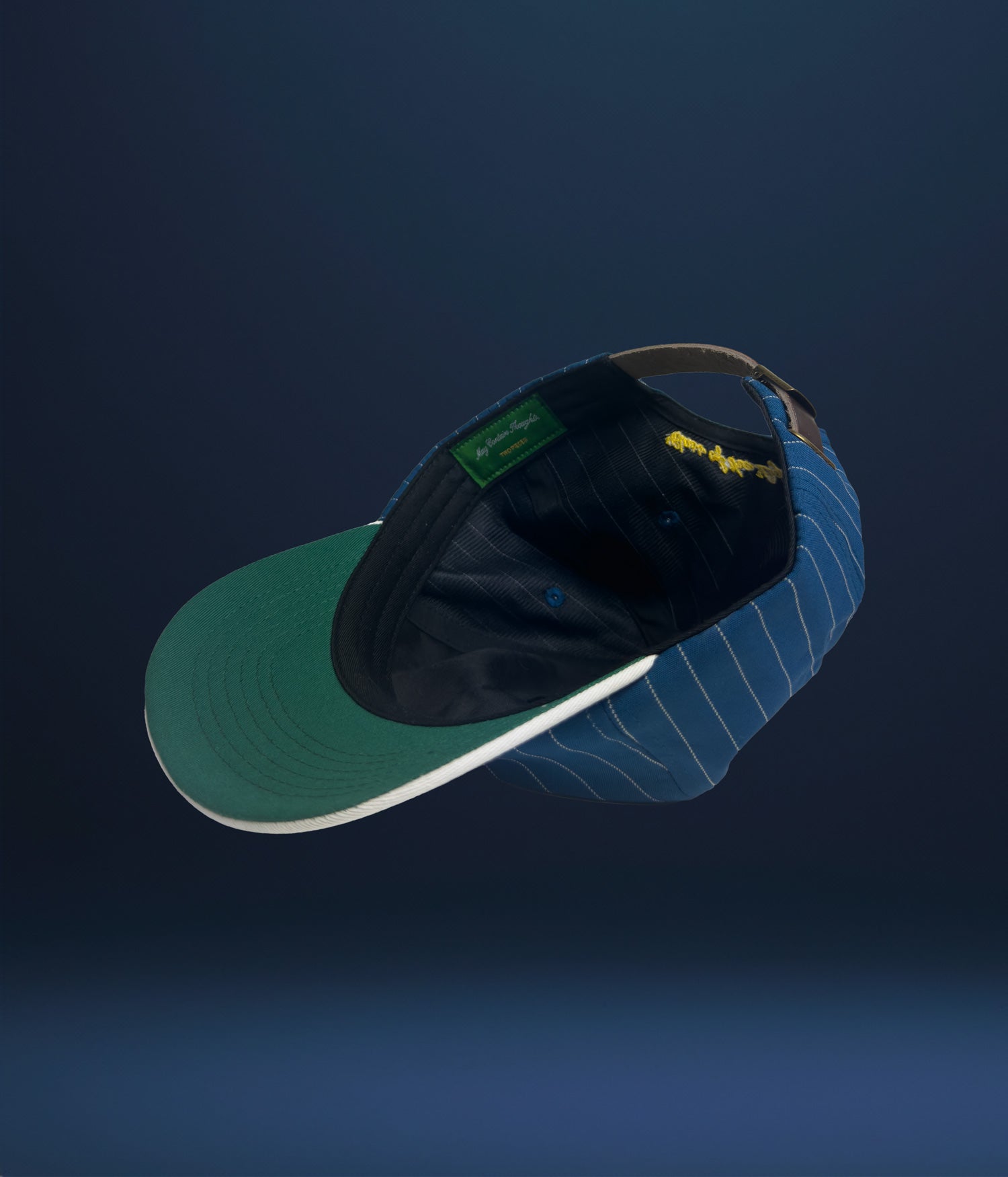 blue-pinstripe-jester-cap-inside